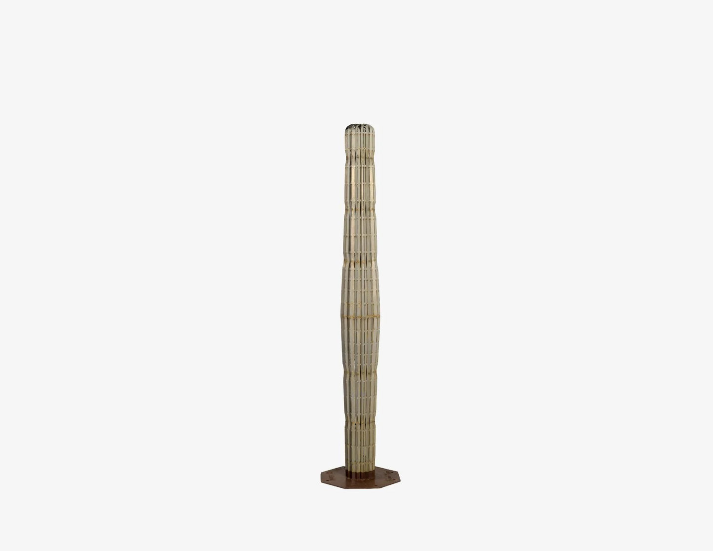 Saguaro Cactusーサワロカクタスー