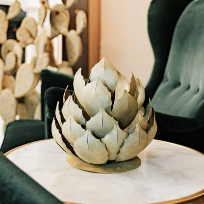 Artichoke Agave-アーティチョークアガベ-