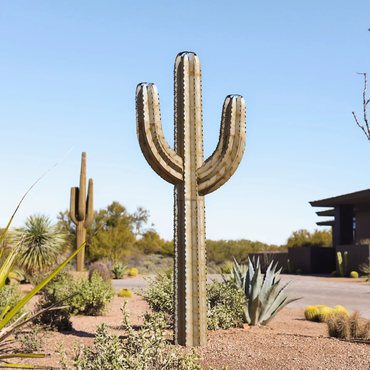 Saguaro Torchーサワロ トーチ付きー