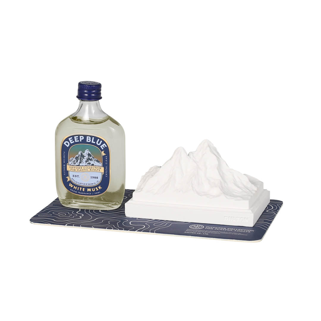 ICE ROCK DIFFUSER