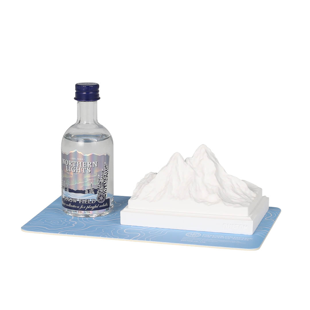 ICE ROCK DIFFUSER
