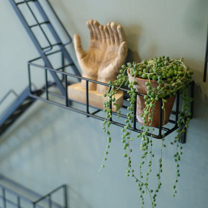 FIRE ESCAPE