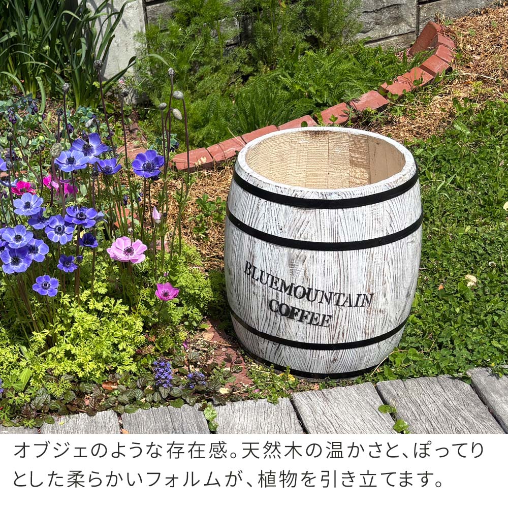 コーヒーバレル 大