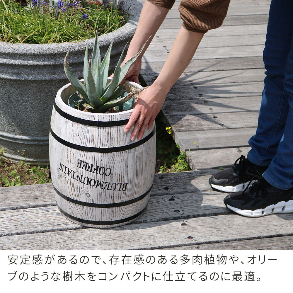 コーヒーバレル 大