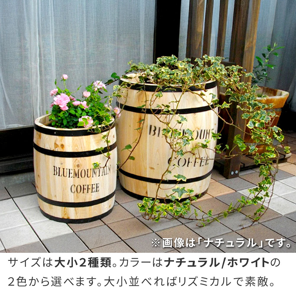 コーヒーバレル 大