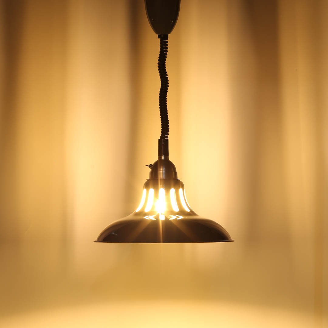 EXTENSION PENDANT WORK LAMP