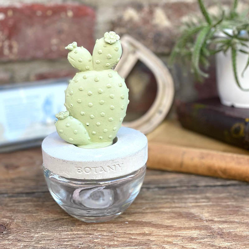 CACTUS FRAGRANCE DIFFUSER