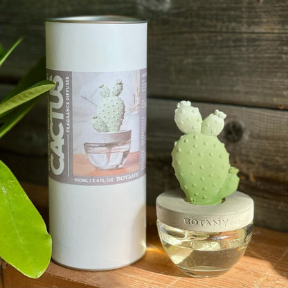CACTUS FRAGRANCE DIFFUSER