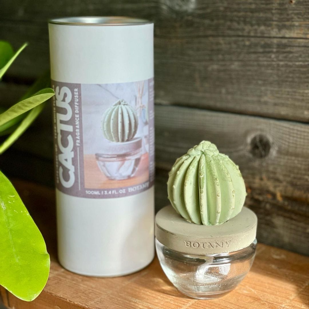 CACTUS FRAGRANCE DIFFUSER
