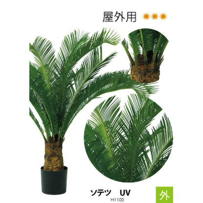 リフェイクグリーン　ソテツUV    H1500㎜