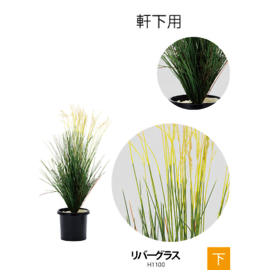 リフェイクグリーン　リバーグラス　  H1100㎜