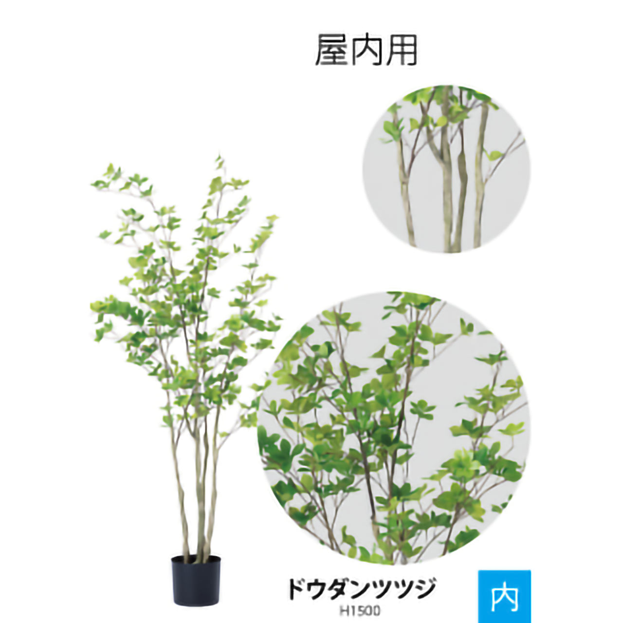 リフェイクグリー　ドウダンツツジ　 H1500㎜/H1900mm/H2100mm