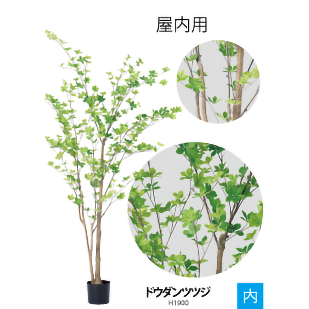 リフェイクグリー　ドウダンツツジ　 H1500㎜/H1900mm/H2100mm