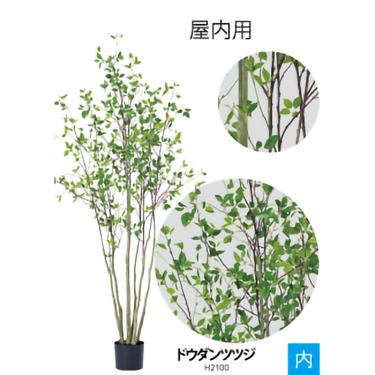 リフェイクグリー　ドウダンツツジ　 H1500㎜/H1900mm/H2100mm