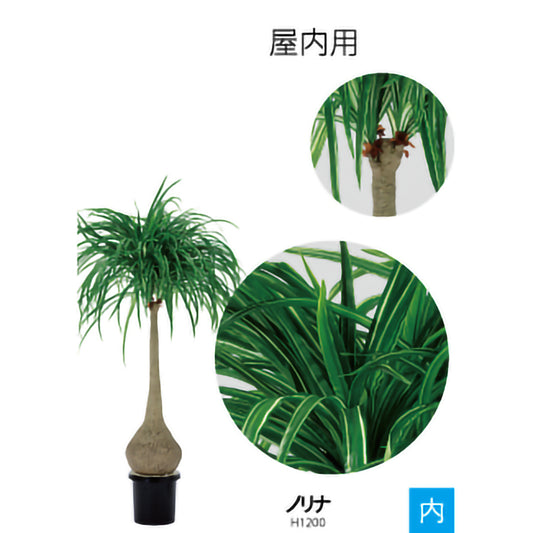 リフェイクグリーン　ノリナ　 H1200㎜