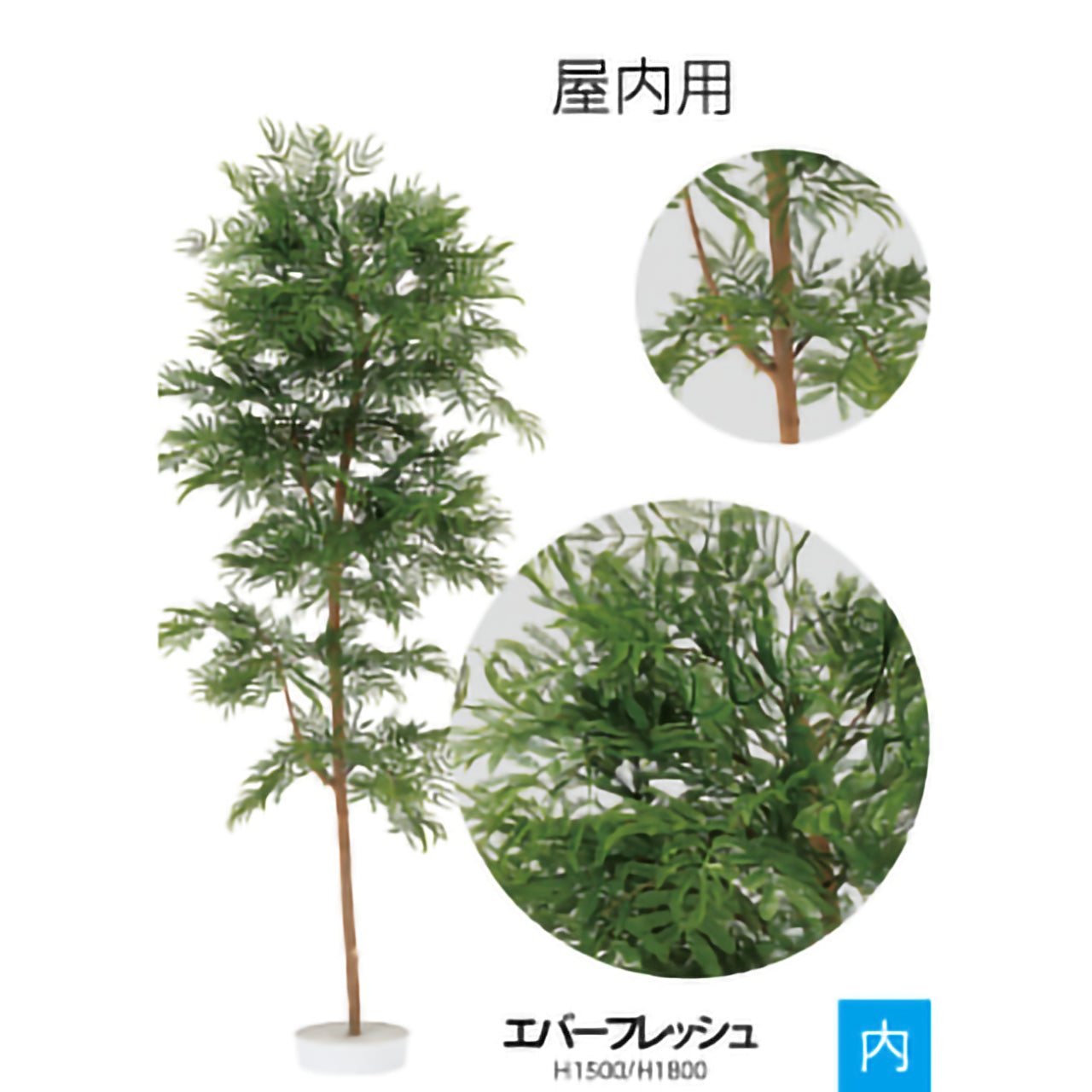 リフェイクグリーン　エバーフレッシュ　H1500mm/H1800mm