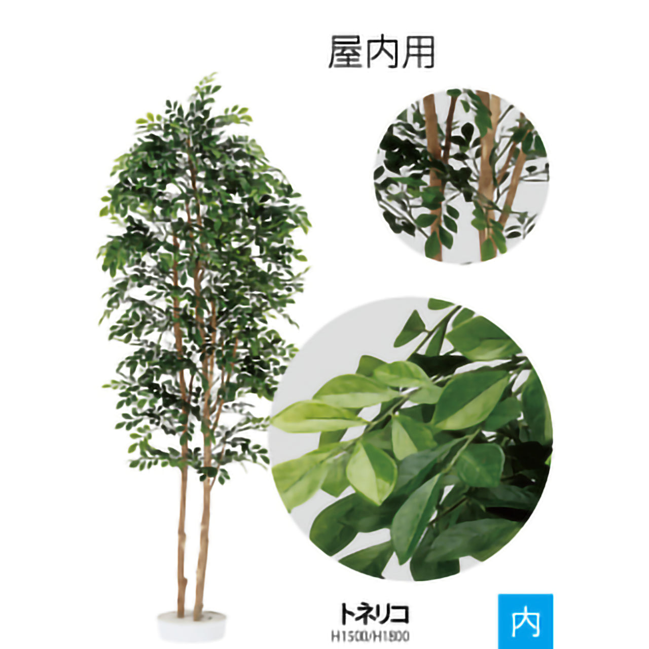 リフェイクグリーン　トリネコ　H1500mm/H1800mm
