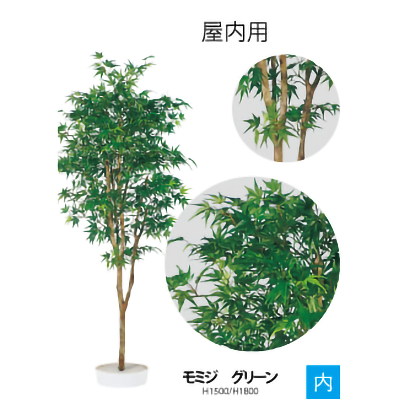リフェイクグリーン　モミジ　H1500mm/H1800mm