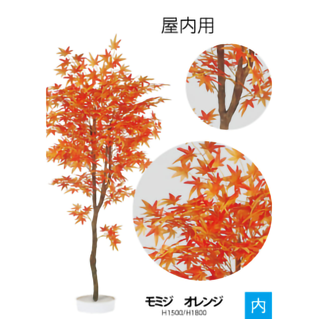 リフェイクグリーン　モミジ　H1500mm/H1800mm