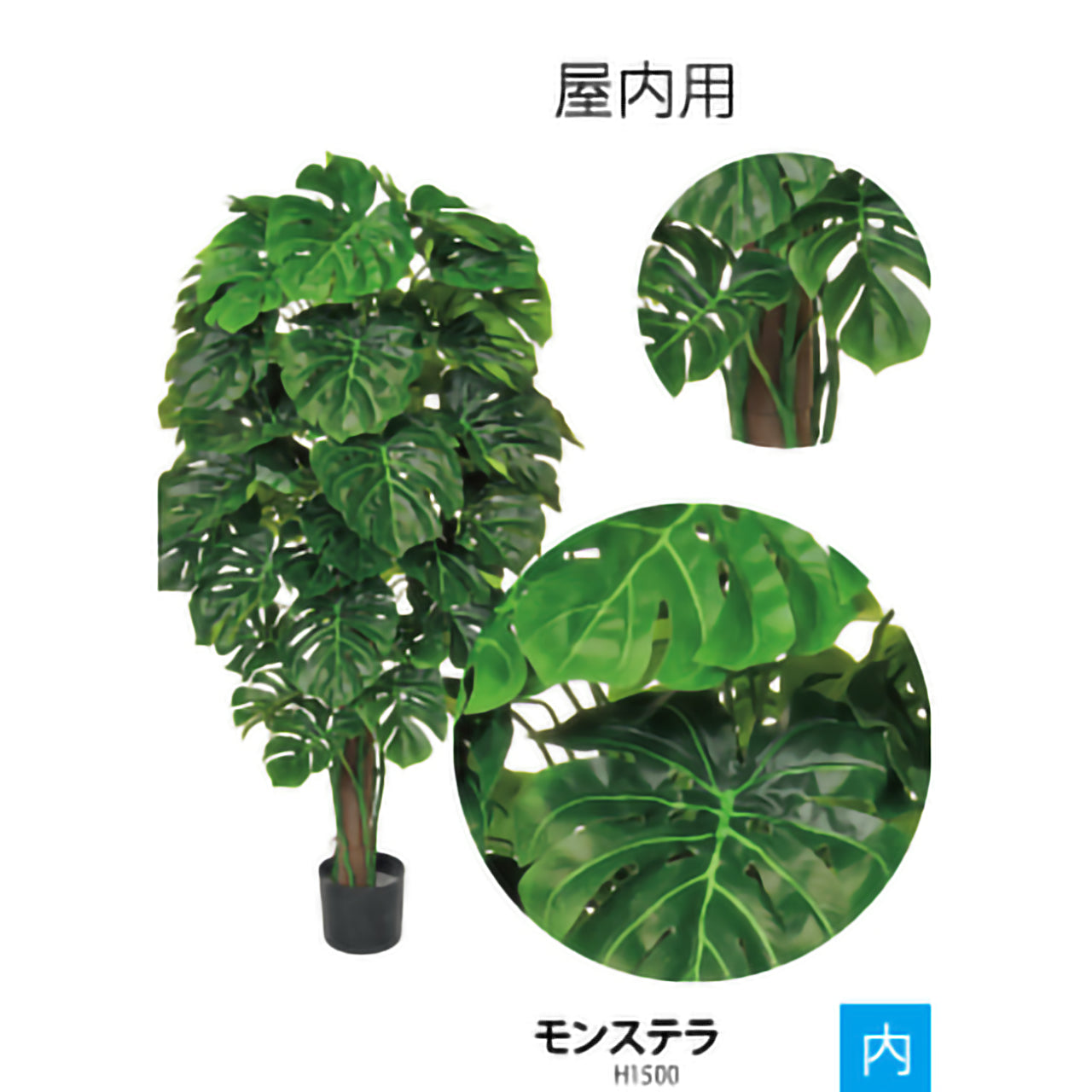 リフェイクグリーン　モンステラ　 H1500㎜