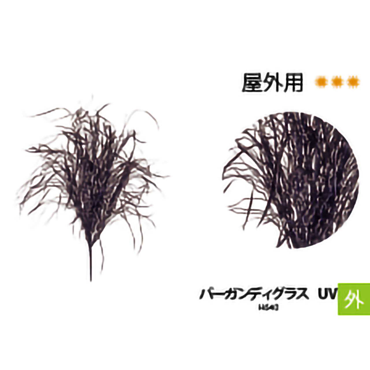 リフェイクグリーン　バーガンディグラス　FUV  H640