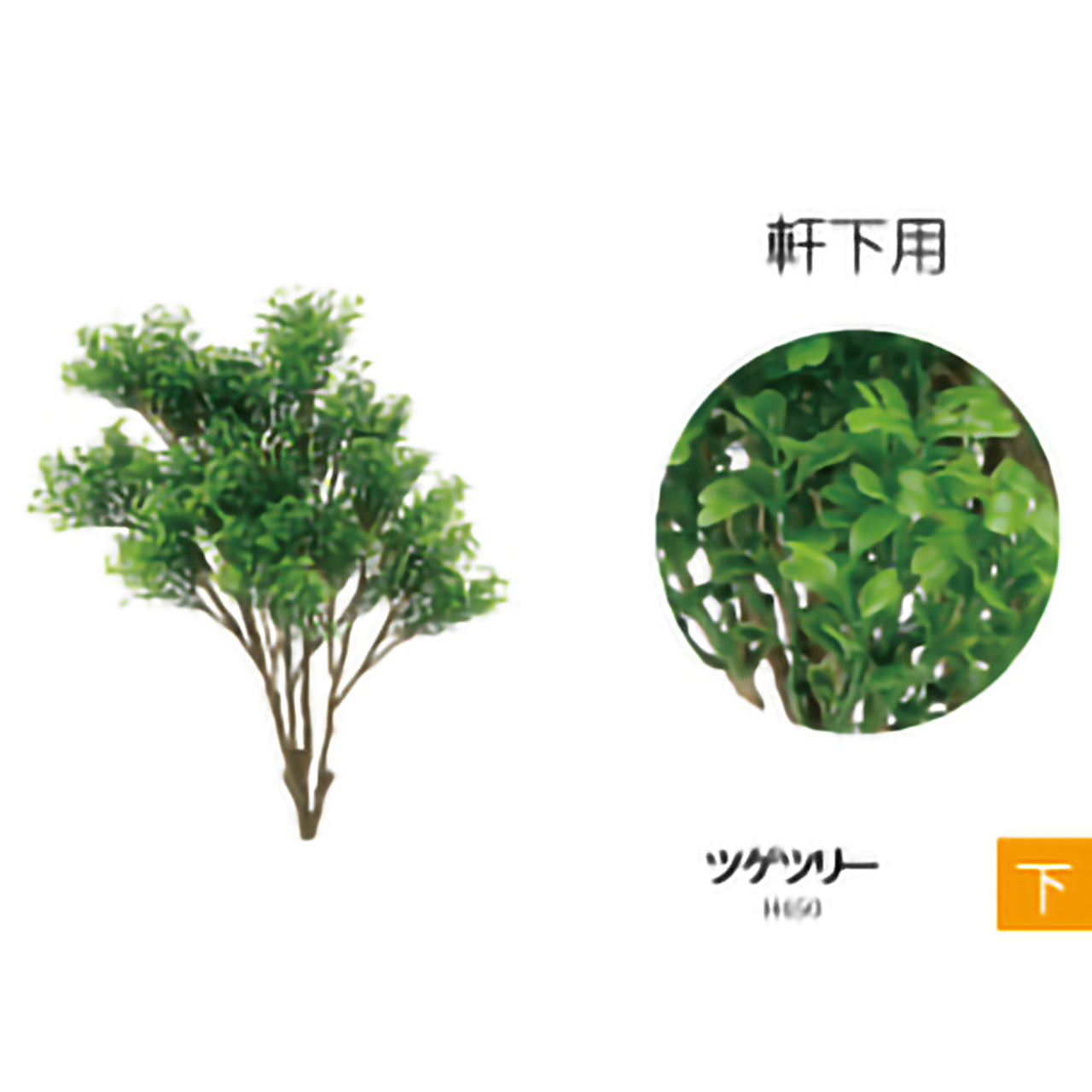 リフェイクグリーン　ツゲツリー　H650mm