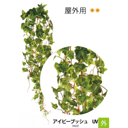 リフェイクグリーン　アイビーブッシュ　UV  H660