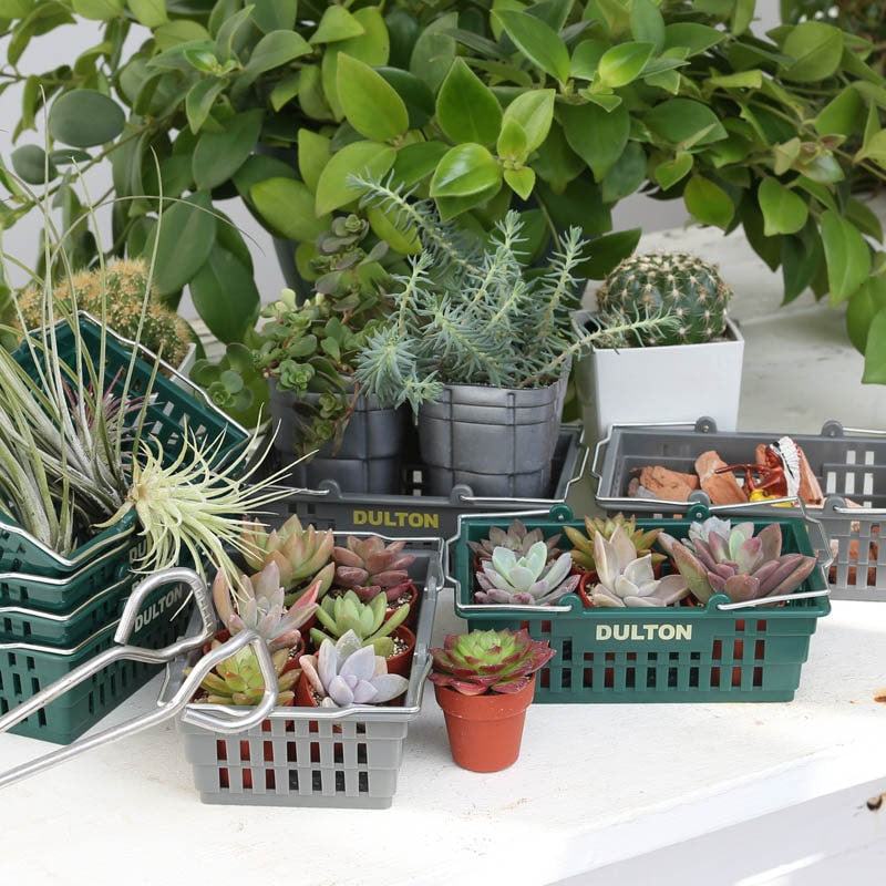 DESKTOP BASKET 