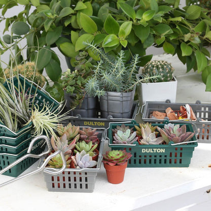 DESKTOP BASKET 
