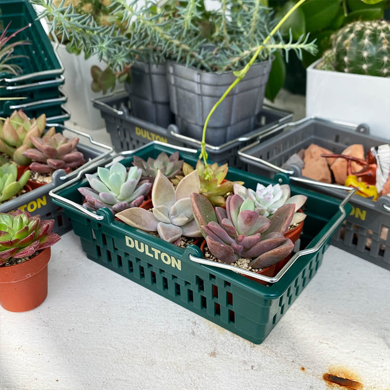 DESKTOP BASKET 