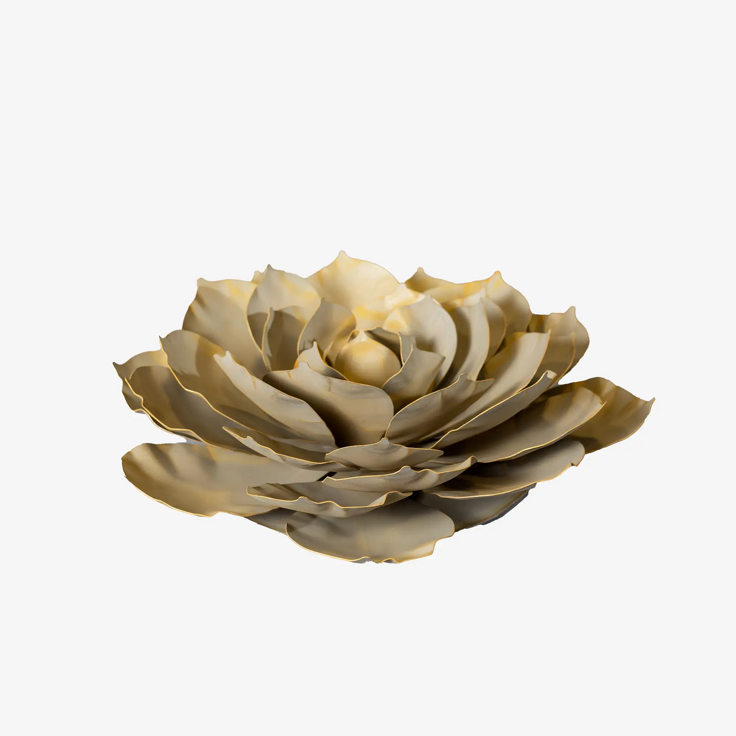 Blue Rose Succulentーブルーローズサキュレントー