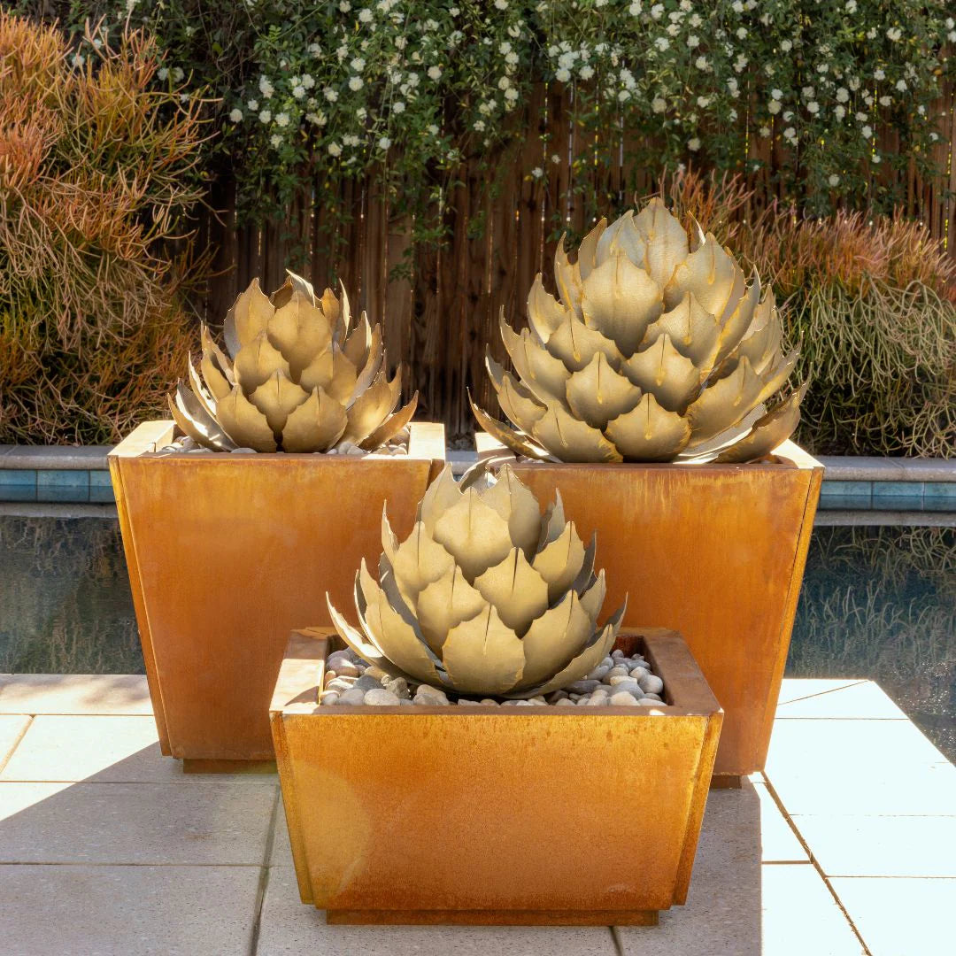 Artichoke Agave-アーティチョークアガベ-