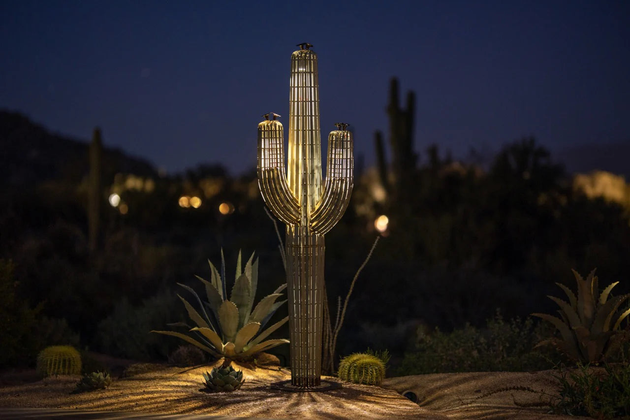 Saguaro Cactusーサワロカクタスー