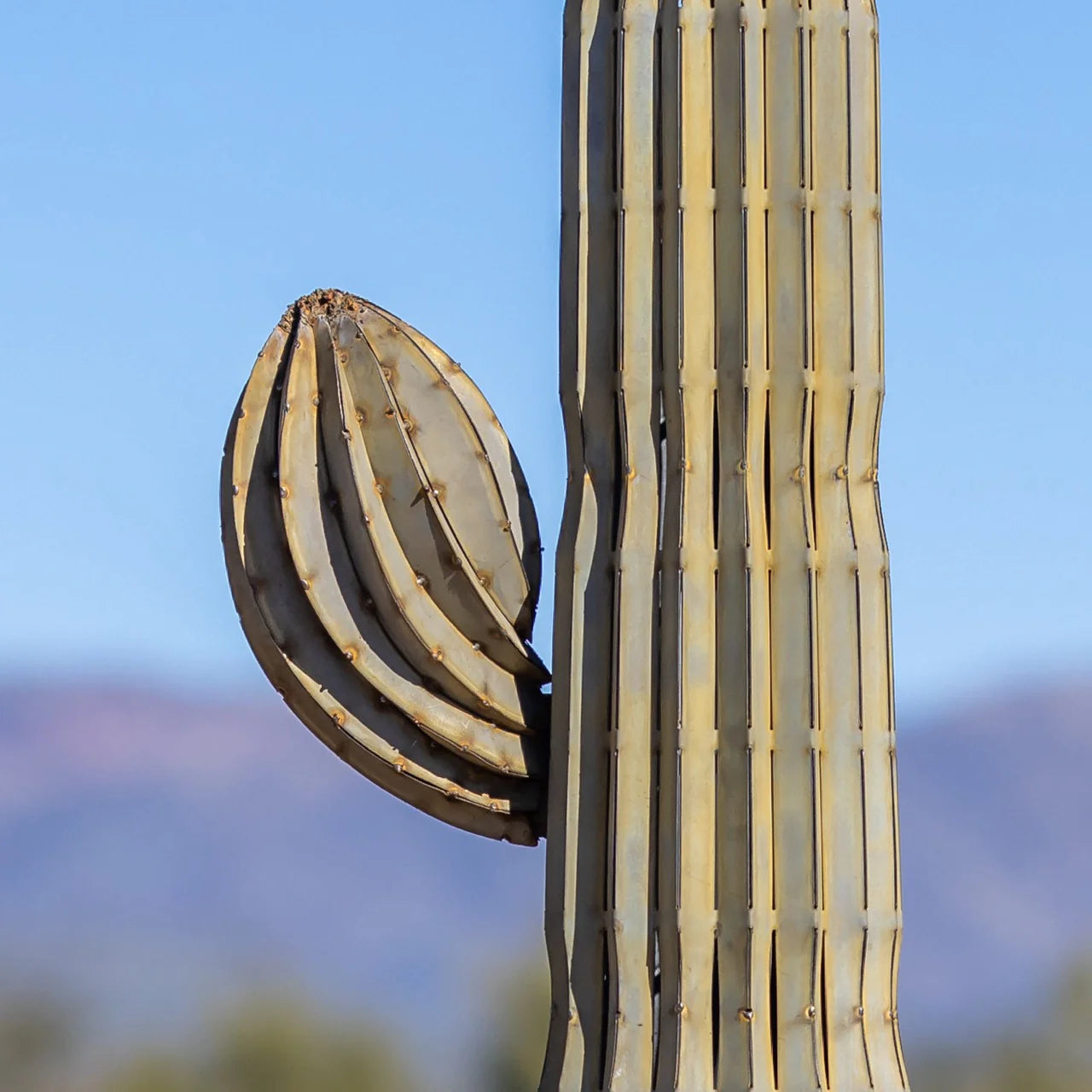 Saguaro Cactus 専用オプション：Nub & Flowers
