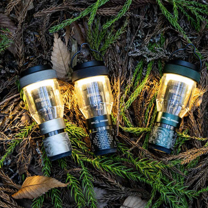 MINIMALight REMOTE CONTROL 2.0