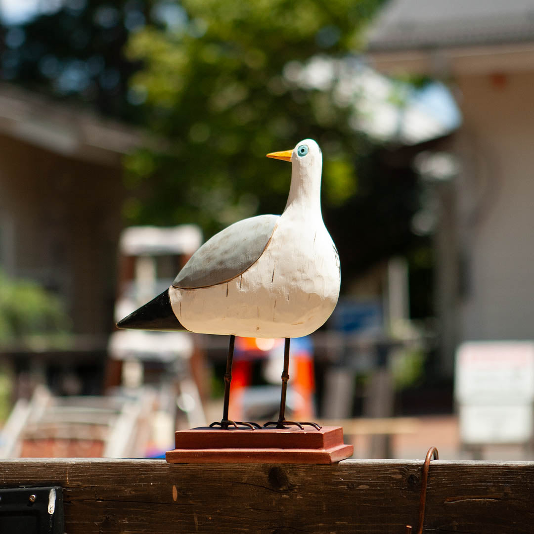 THE GULLS