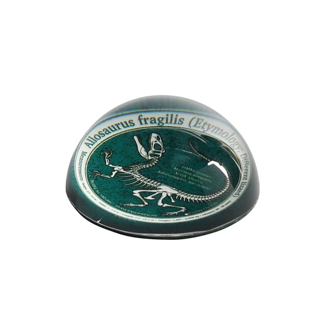 GLASS PAPERWEIGHT
