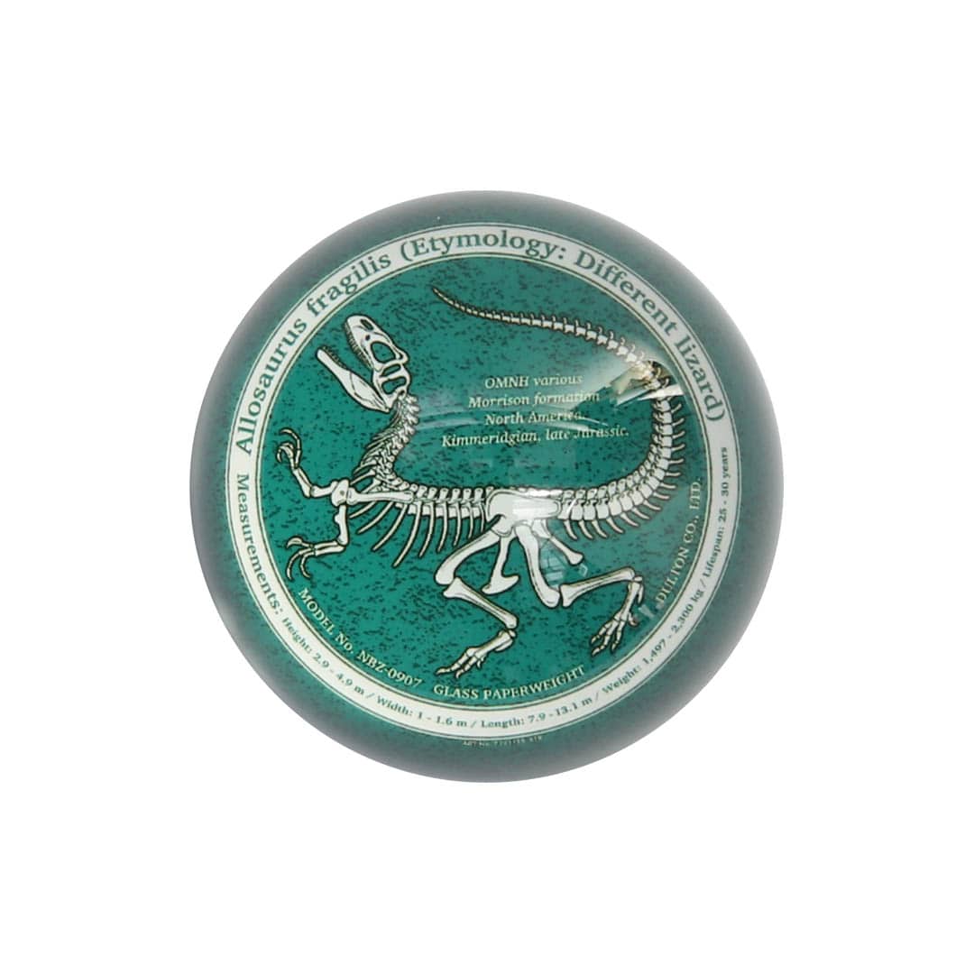 GLASS PAPERWEIGHT