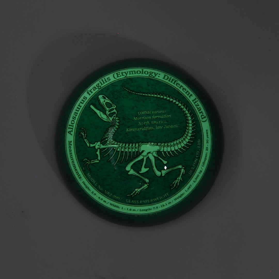 GLASS PAPERWEIGHT