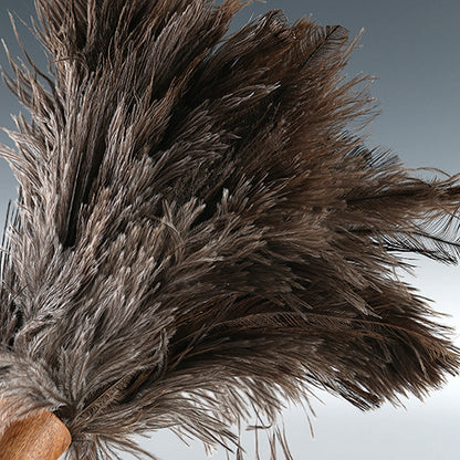 FEATHER DUSTER