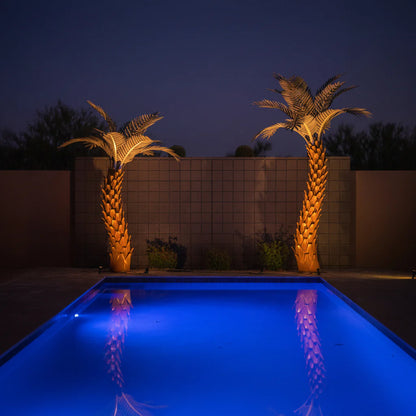 Sunset Palm Treeーサンセットパームー