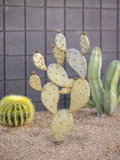 Prickly Pear-プリックリーペア- （ウチワサボテン）