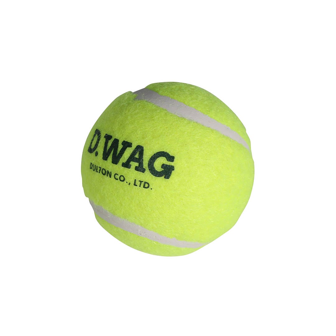 TENNIS BALL 